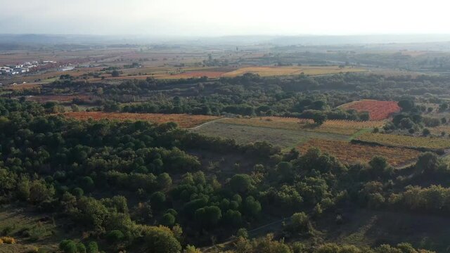 Survol des Corbi&egrave;res, &eacute;oliennes dans la garrigue et les vignes