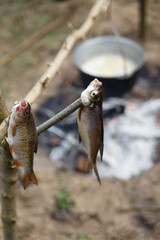 camping food