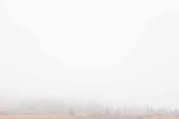 Minimalistic mist foggy mountain landscape with autumn rocky peaks in rainy weather in Vitosha, Sofia, Bulgaria