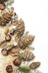 Autumn background with leaves, chestnuts, acorns, pine cone on white with copy space.