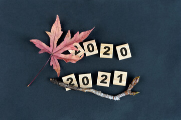year change from 2020 to 2021. Happy new year
