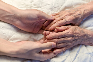 Fototapeta premium Old and young hands. Hands of an old woman-82 years in the young hands of a grandson.