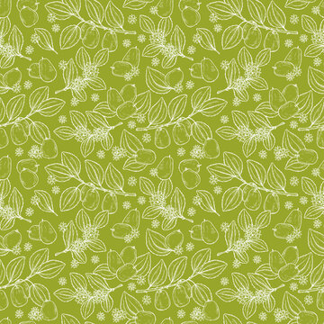 Floral seamless pattern. Exotic tropical fruit Jujube sometimes Ziziphus jujuba or zizyphus, red date, Chinese date, Korean date, Indian date. Leaves, Flowers, Berries. Medicinal plant
