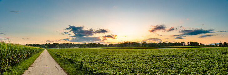 Panorama, sunset over fields in Austria with dramatic sunset sky and road leading to woods. Agriculture landscape.
