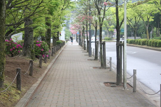 平穏な街の歩道の写真素材