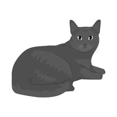 cartoon russian blue cat icon, colorful design