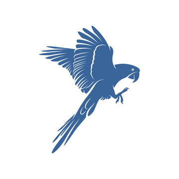 recommend clip art: Cockatoo Bird design vector illustration, Creative Parrot Bird logo design concepts template, icon symbol