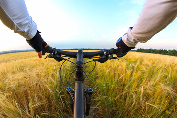 The cyclist holds the handlebars of a bicycle with his hands on the background of a wheat field and a sunset sky. Sports and travel