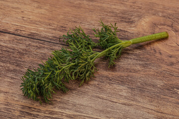 Aroma seasoning - Green Dill branch