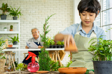 Asian teenage boy growing green plant in garden with his grandfather 