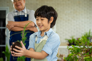 Obraz premium Asian teenage boy growing green plant in garden with his grandfather 