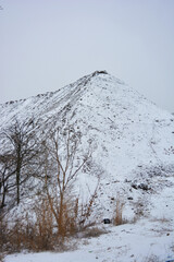 A large, high mountain along a well-worn road covered with white fluffy snow with trees and bushes at the end of December.