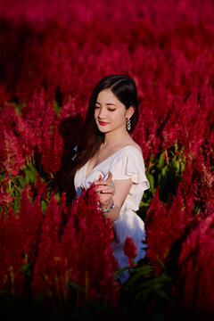 A beautiful Thai girl is having a good time during her holiday in a flower farm in Chiang Mai, northern part of Thailand