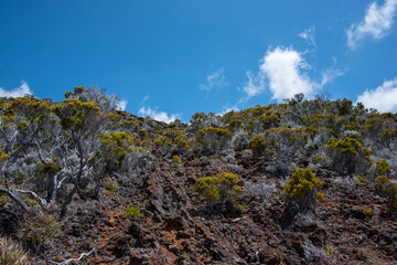 Dry volcanic landscape from the plaines des sables landscape in Reunion islands, France, Tropical Europe.
