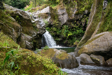Fototapeta na wymiar Langevin stream and waterfall, bassin sauvage, reunion island paradise, France.