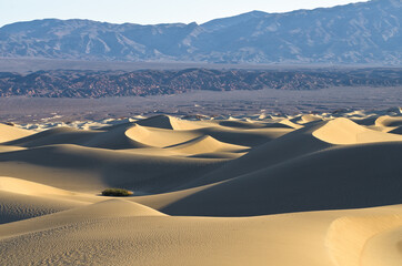 Sunrise and sand dunes near Stovepipe Wells, Death Valley National Park