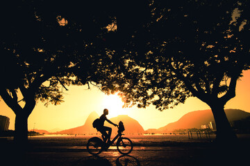 Silhouette of a Woman Cycling Under Trees in the Early Morning during Beautiful Warm Sunrise in Rio...