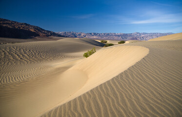 Fototapeta na wymiar Sunrise and sand dunes near Stovepipe Wells, Death Valley National Park