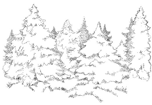 Ink painted pine forest. New Year is coming.
