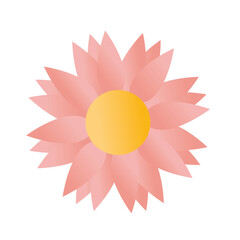 sunflower with a ligth pink color