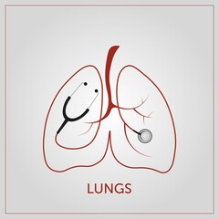 Lungs vectoral illustration. Design of lungs and stethoscope