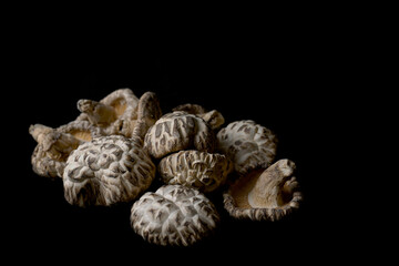 Japanese Shitake Mushroom on a black background.
