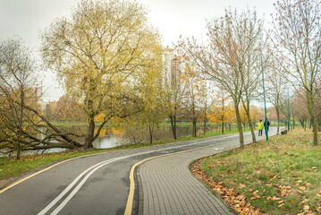 Asphalt road through the park for cycling. Road through the park.