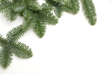 Christmas fir branches with place for your text on a white background isolated. New Year card template