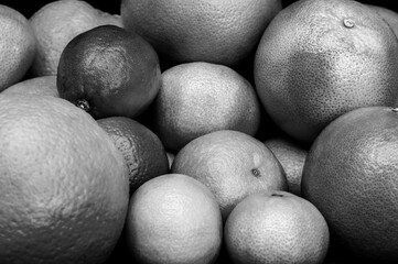 Monochrome citruses. Oranges, tangerines, limes and grapefruits in black and white.