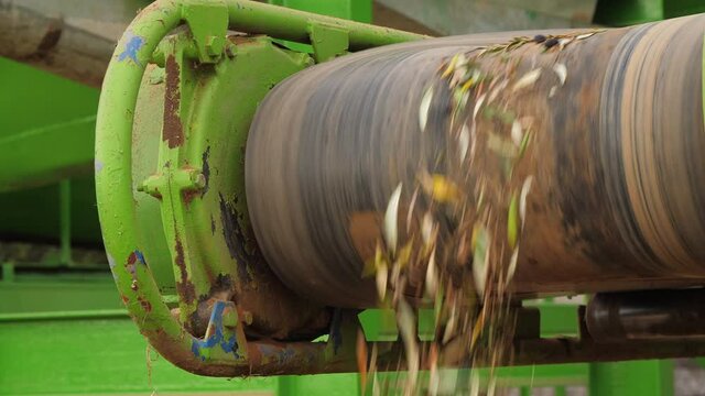 Olive Harvest. Olives Oil Mill Manufacturer. Machine working. Industrial Processing Equipment 03