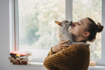 Pet love, homeless dog adoption, caring for a pet and animal concept. Pet Lovers, Animal Lovers....