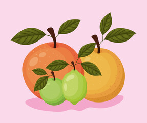 set of fruits icons over a pink background
