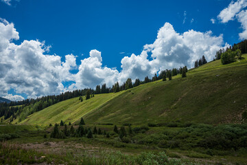green mountain landscape in the summer