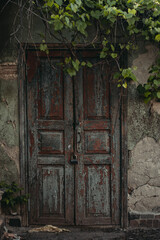 Fototapeta na wymiar old wooden door in the villiage