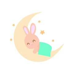 sleeping bunny on the white background