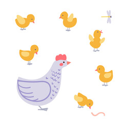
chickens family  on the white background