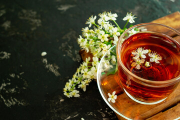 A cup of flower tea with spring cherry blossom on a black background. Copy space