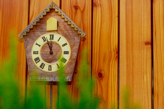 Cuckoo clock with Roman numerals on a wooden wall. Copy space.