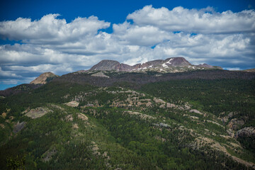 Forest mountain landscape in the San Juan Mountains of Colorado