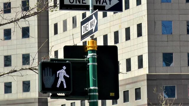 Traffic light and one way sign in Manhattan, New York. Pedestrian crossing.