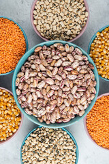 Big bowl of brown beans around various raw beans and lentils