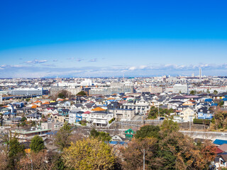 Naklejka premium 郊外の住宅地 東京