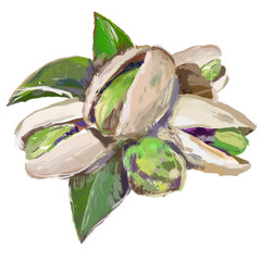 Pistachio with leaf acrylic sketch painting Hand drawn nuts - 401444381