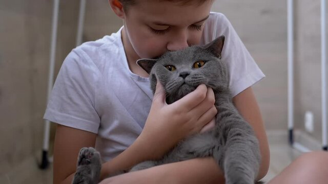 Smile Boy Sit On Floor, Hugs Gray British Cat, Plays. Love to Pet Animals