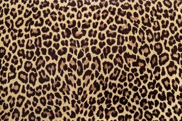 Foto op Aluminium Leopard print stof patroon, naadloze achtergrondafbeelding. © Anna Žolnay