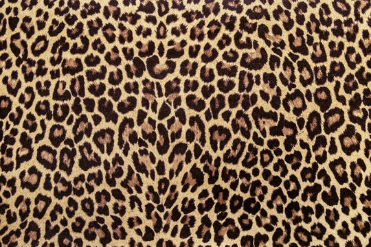 Leopard print fabric pattern, seamless background image. © Anna Žolnay