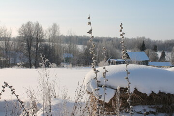 winter landscape with trees and snow