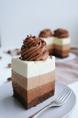 piece of three chocolate cake
