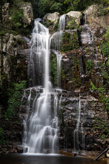 Fototapeta premium Minnamurra Falls with much water flowing.