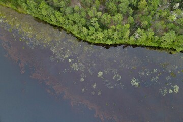 Aerial Detail of the New Jersey Pine Barrens and Mullican River